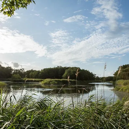 Haubenlerche 27 * Fuhlendorf (Mecklenburg-Vorpommern)
