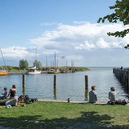 Haubenlerche 27 * Fuhlendorf (Mecklenburg-Vorpommern)