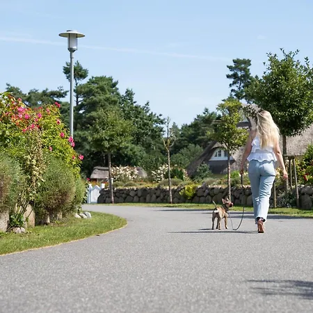 Haubenlerche 27 Hébergement de vacances *
